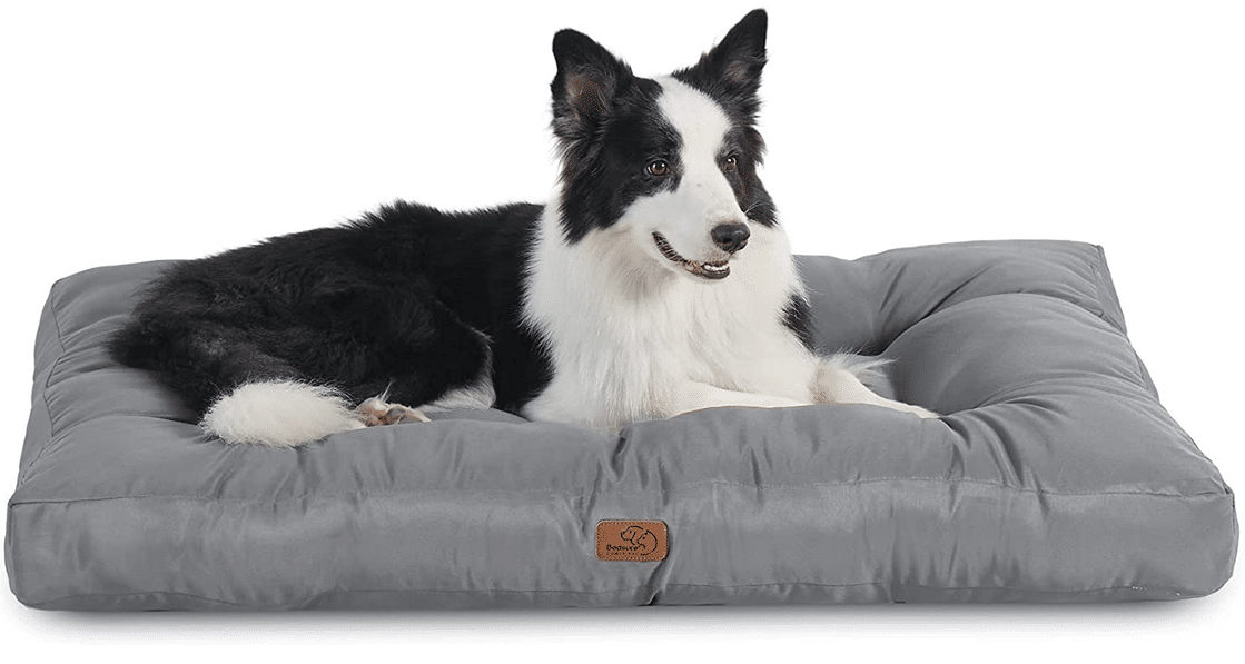 lionto Panier chien 2-en-1 lit chien coussin réversible taille S 60x50 cm Gris 