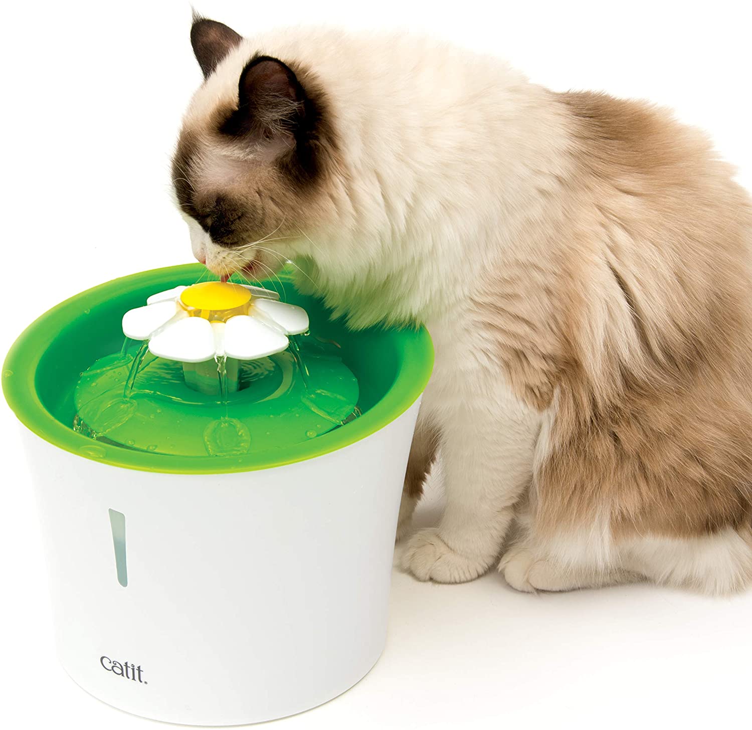 fontaine d'eau à fleur pour chat Cat It Senses pas cher