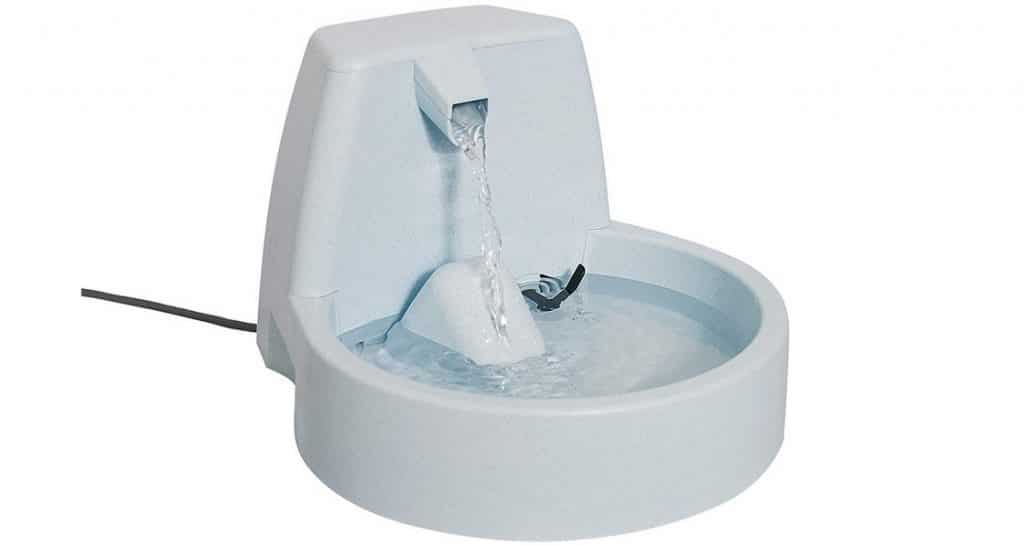 Test et avis sur la fontaine à eau pour chat cascade Petsafe