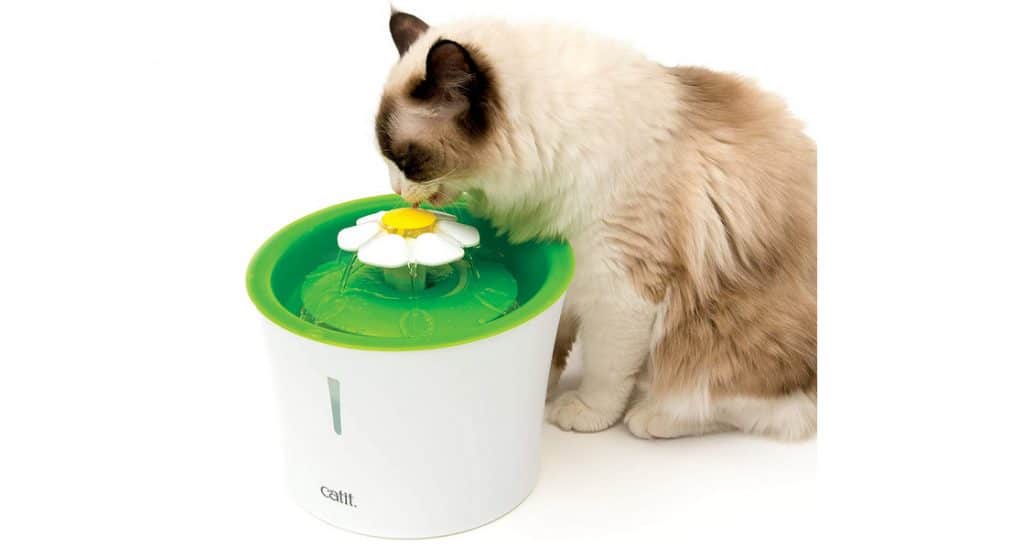 Test et avis sur la fontaine d'eau à fleur pour chat Cat It Senses