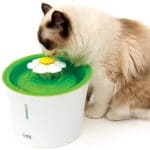 Test et avis sur la fontaine d'eau à fleur pour chat Cat It Senses