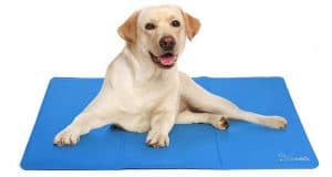 Test et avis sur le tapis rafraîchissant pour chien Pecute