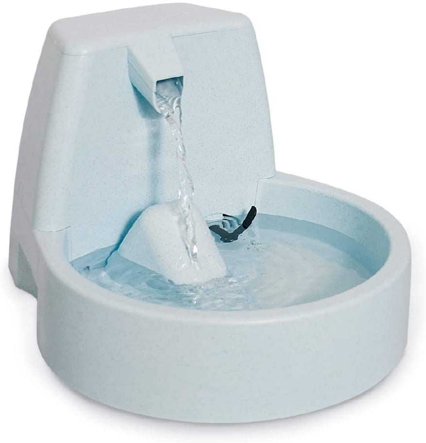 Meilleure fontaine à eau pour chat cascade PetSafe