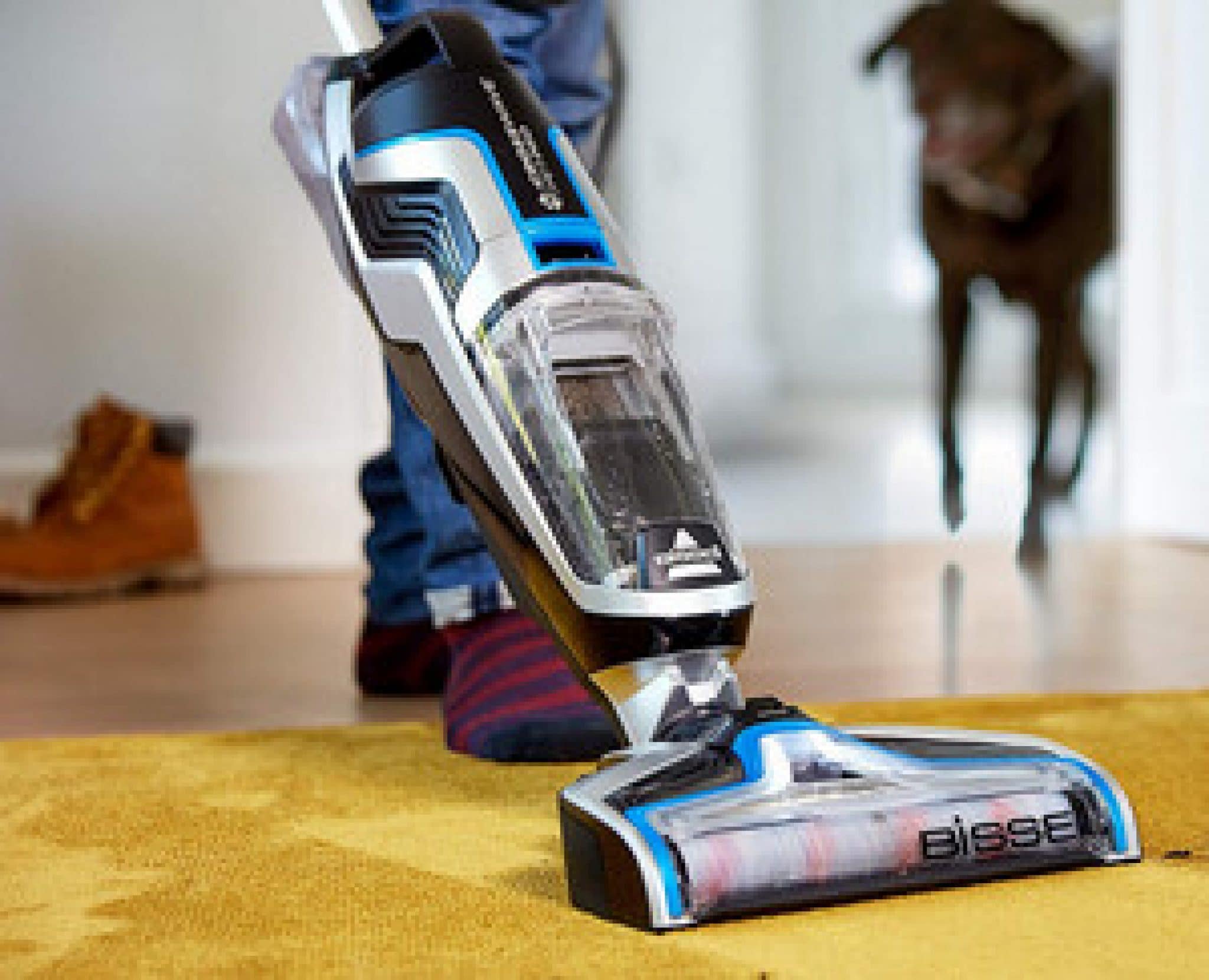 Bissell CrossWave Pet Pro : Avis sur cet aspirateur pour poils d'animaux