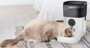 Comparatif distributeur automatique de croquettes pour chat