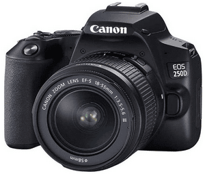 Avis Canon EOS 250D