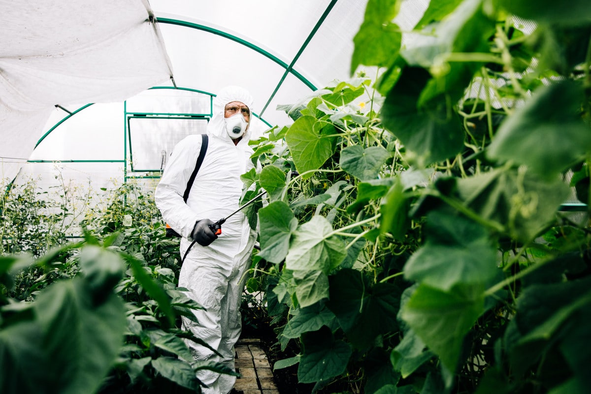 Produits Monsanto impact sur l'environnement et la santé humaine