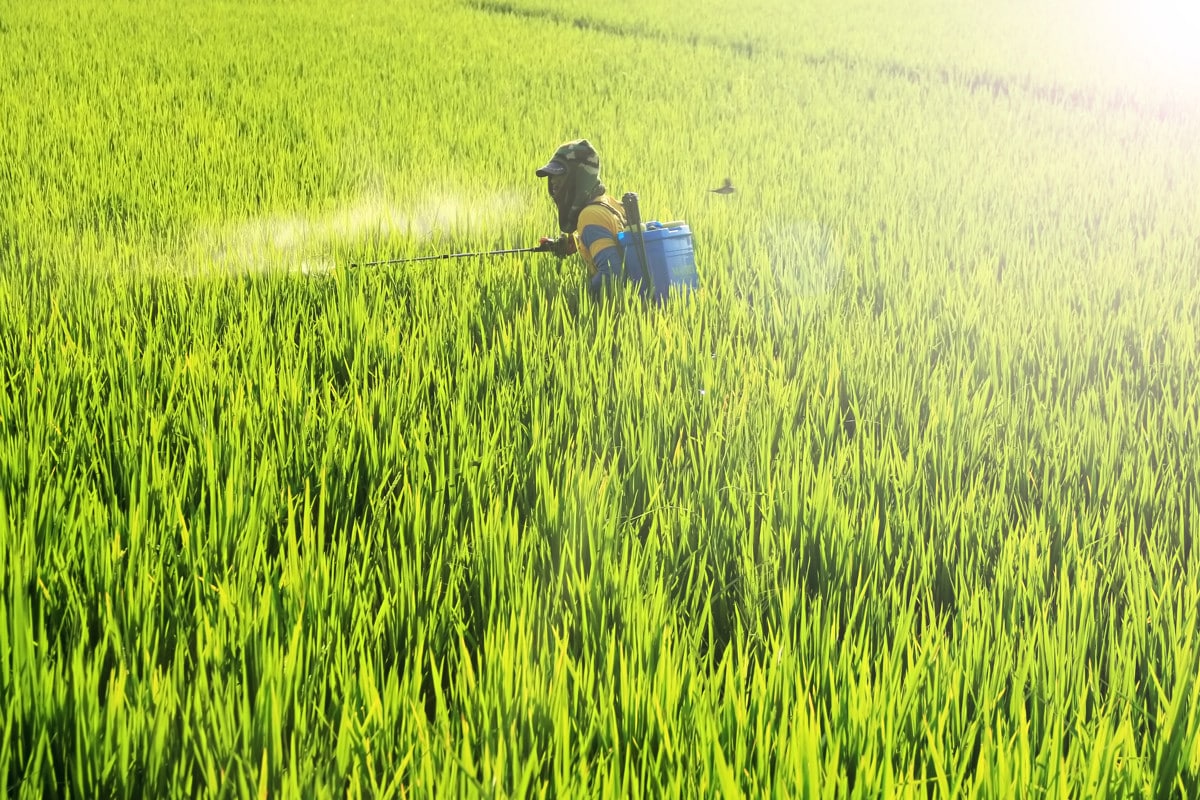 Répercussions des produits Monsanto