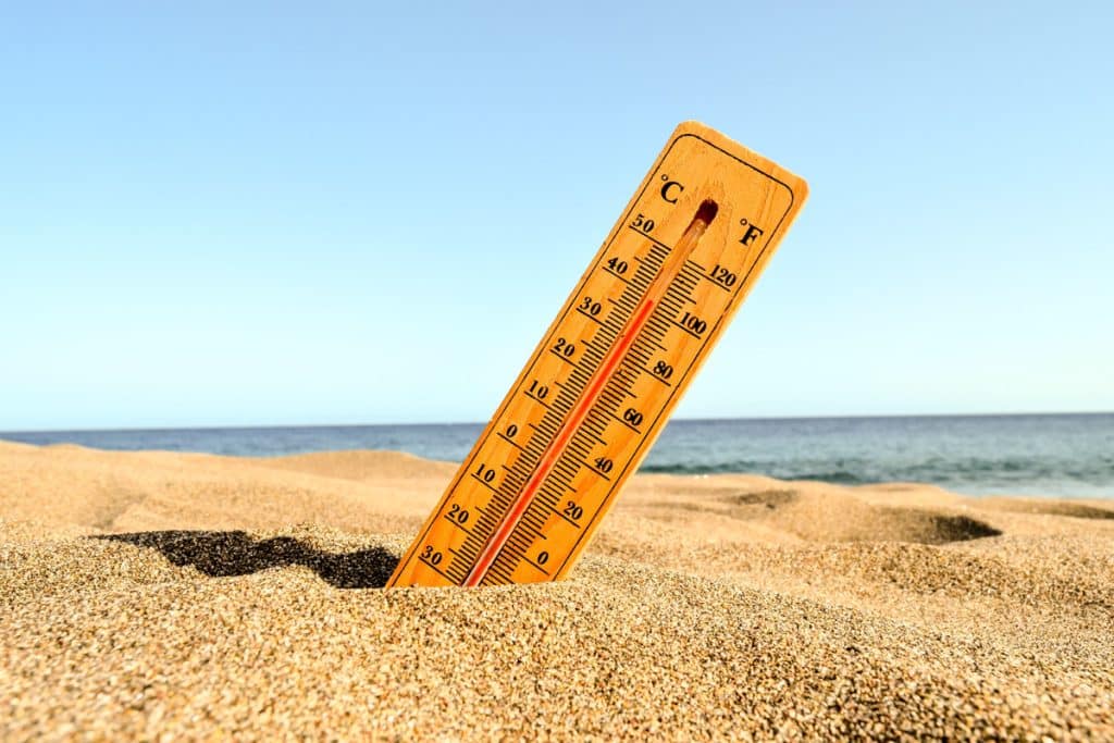 Alerte canicule 2024 La France se mobilise pour faire face à des températures supérieures à 40°C