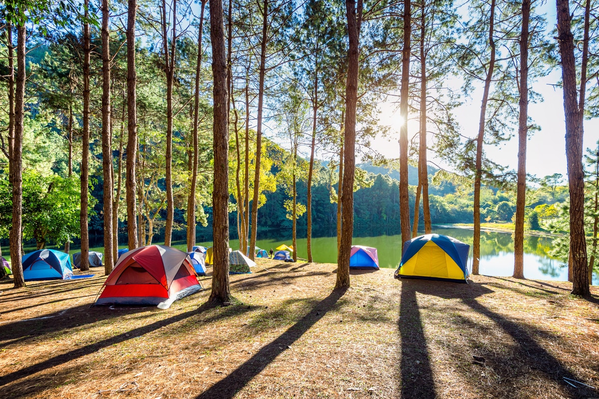 Sécheresse 2023 en France La décision inédite des campings pour s'adapter aux restrictions d'eau