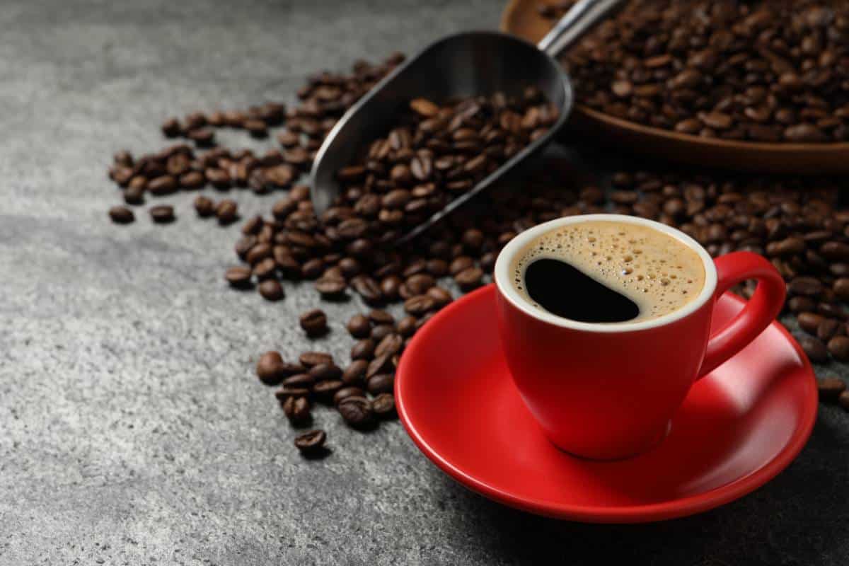 Comment choisir la machine à café idéale pour votre foyer ?