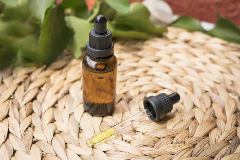 CBD et créativité : stimuler l’inspiration tout en restant détendu